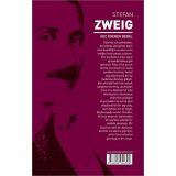 Geç Ödenen Bedel - Stefan Zweig - Maviçatı Yayınları