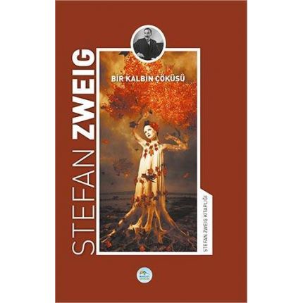 Bir Kalbin Çöküşü - Stefan Zweig - Maviçatı Yayınları