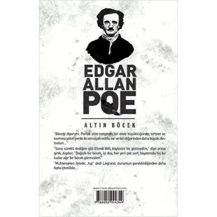 Altın Böcek - Edgar Allan Poe - Maviçatı Yayınları